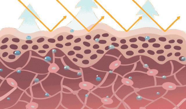 德国胶原蛋白肽原液口服液,德国水解胶原蛋白小分子口服液