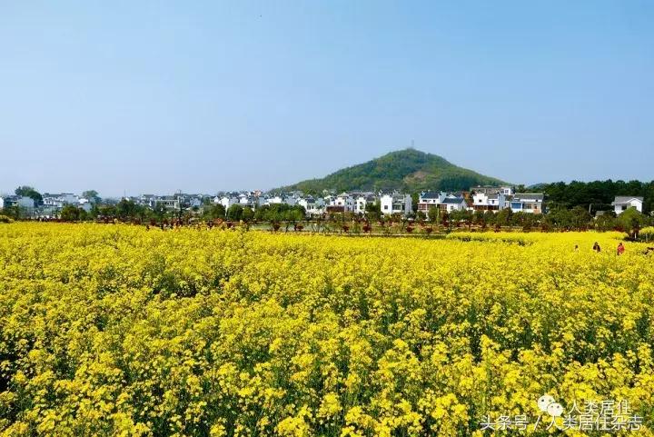 「特色小镇」国际慢城的从容境界：南京桠溪