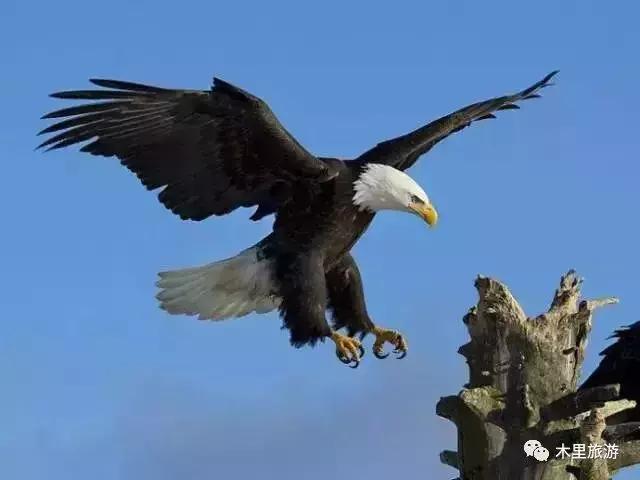 大美凉山木里,带你看大美凉山