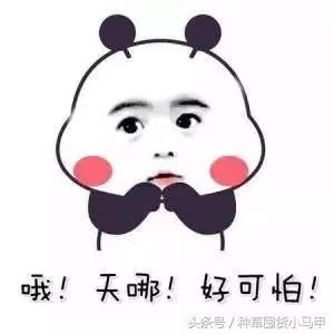 很火的洁面仪,代购洗脸仪测评