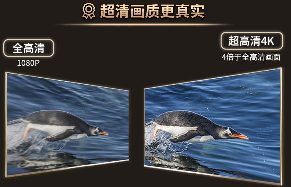 您有一份优惠券待领取图片,电信4k机顶盒领取