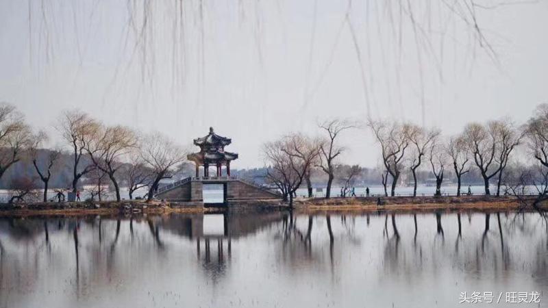 佳能eos最适合新手的单反相机,佳能eos相机哪个型号好