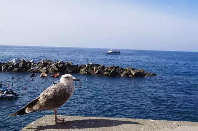 意大利五渔村风景微信头像,意大利五渔村海边小镇图片