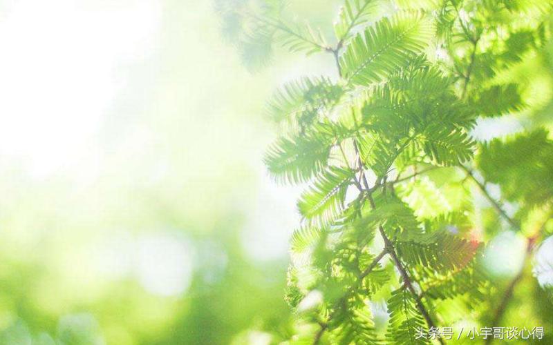 青春岁月里你“窃”过东西吗?往事不堪回首,我先自我揭发