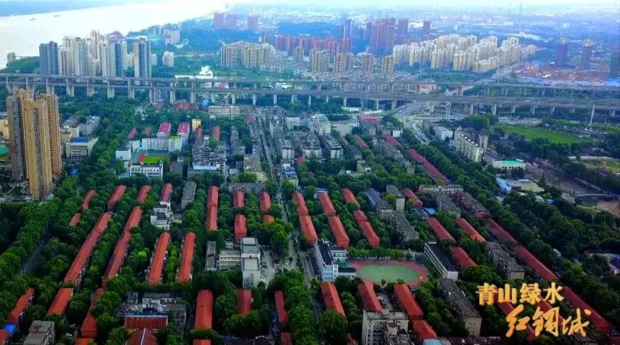 红蓝绿黑你喜欢什么色,红绿蓝清新配色