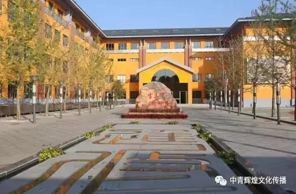 仁者师心牛来云:山的情怀,牛的坚毅