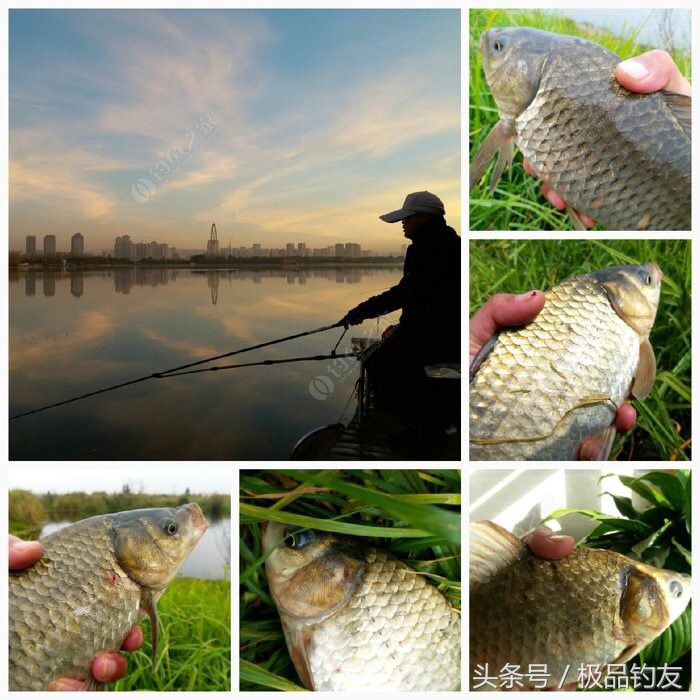 野钓红虫颗粒使用方法,冬季红虫野钓鲫鱼技巧