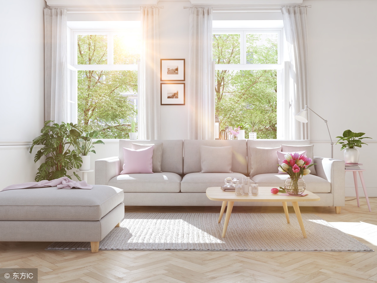 二楼房子真的不能买吗,买二楼的房子好不好