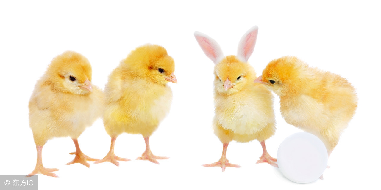 常规型人格大全,各型人格分析技巧