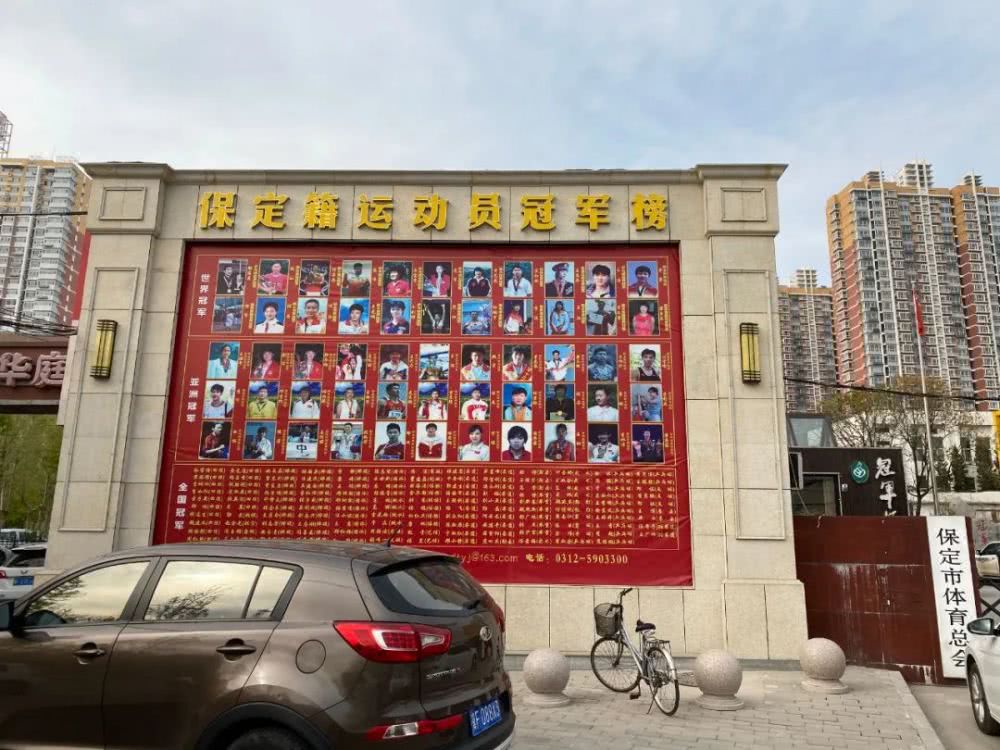 国家队体操运动员张尚武,吊环张尚武