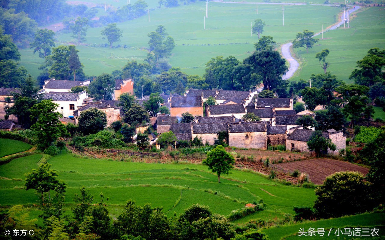 农业部农民每月可支出,国家统计局2023年农民人均收入