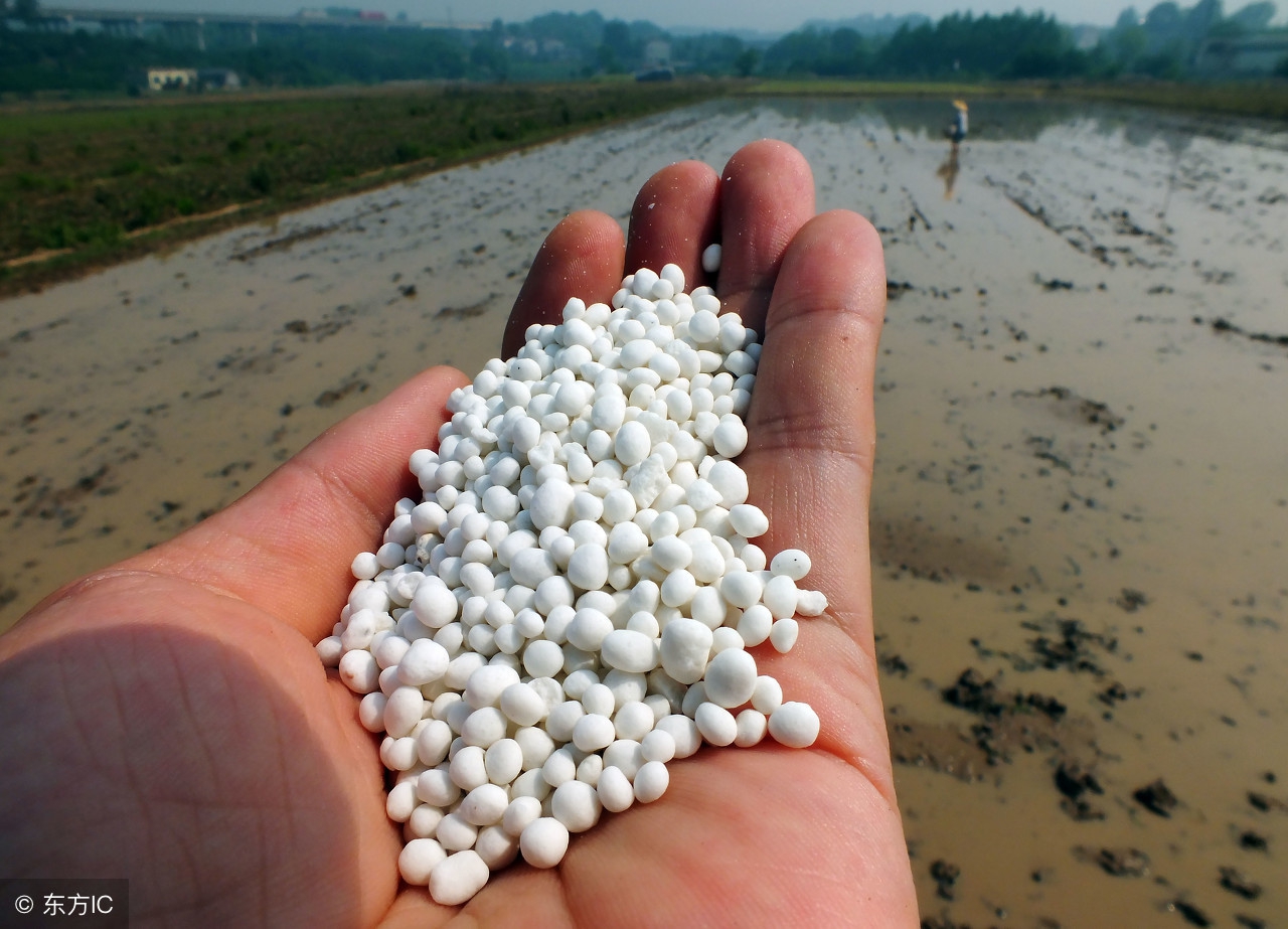 专用水溶肥是不是骗人的,为什么一些进口水溶肥很便宜