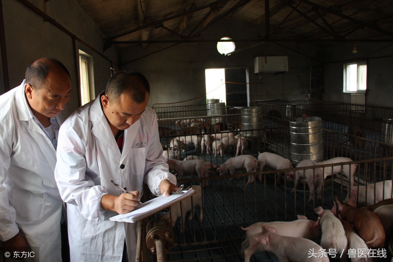 兽药的储存与使用,兽药使用的注意事项是什么