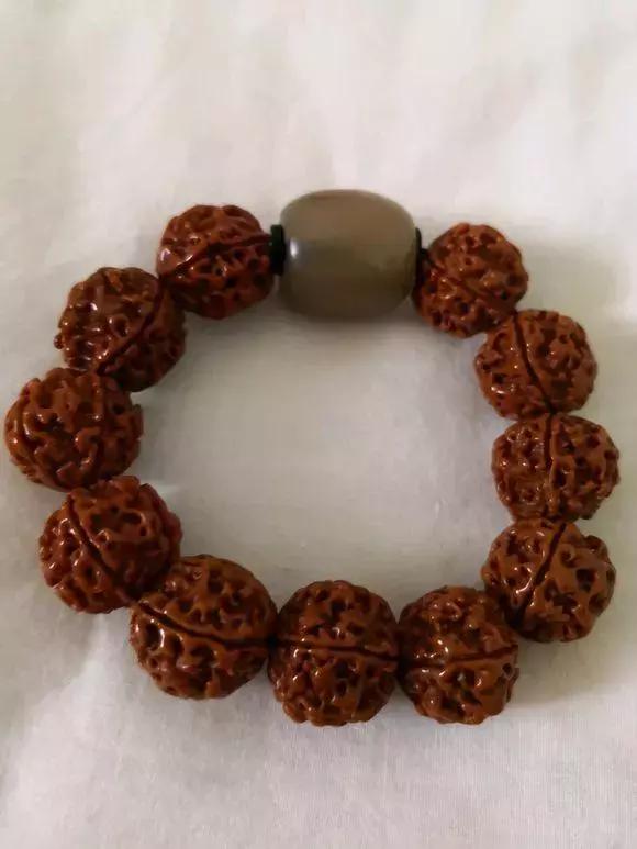 详细介绍一下金刚菩提的基础常识,盘玩金刚菩提有讲究这五点要了解