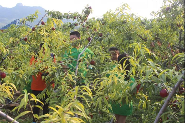 沂蒙山区好地方,山东沂蒙的深山