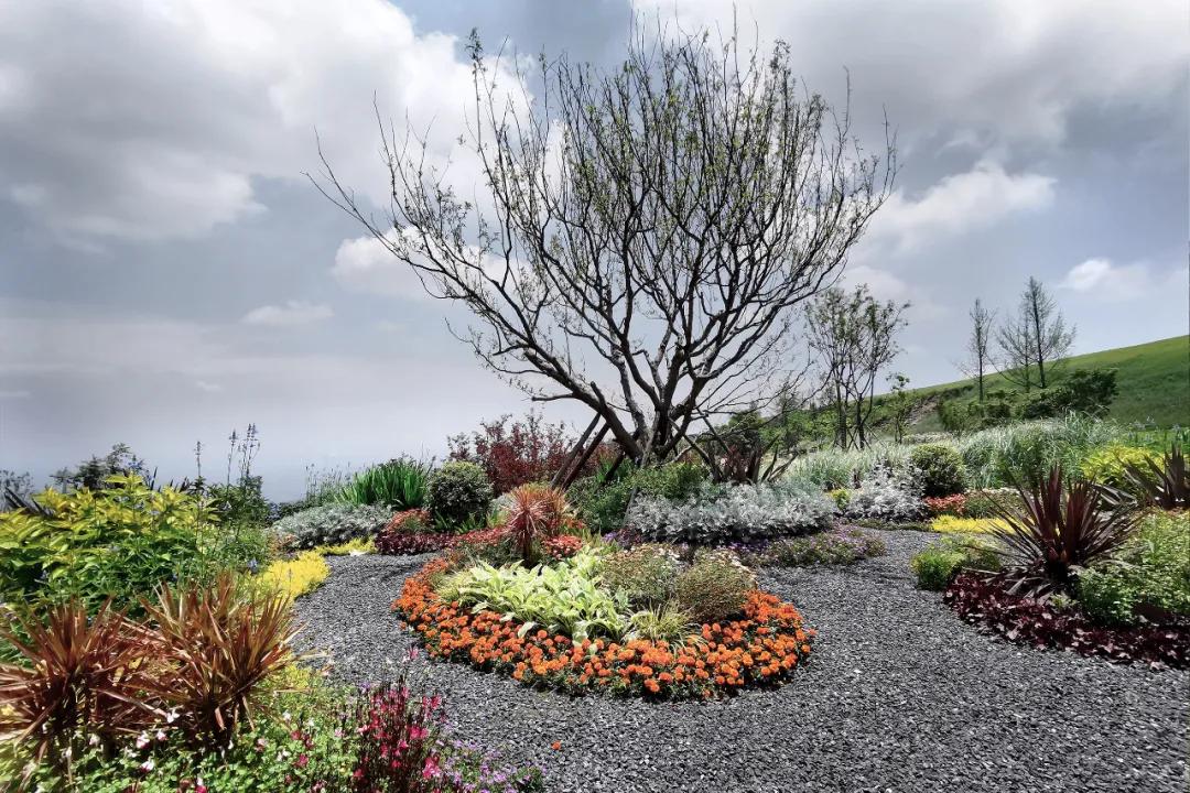 易兰规划|四川成都淮州·云顶牧场