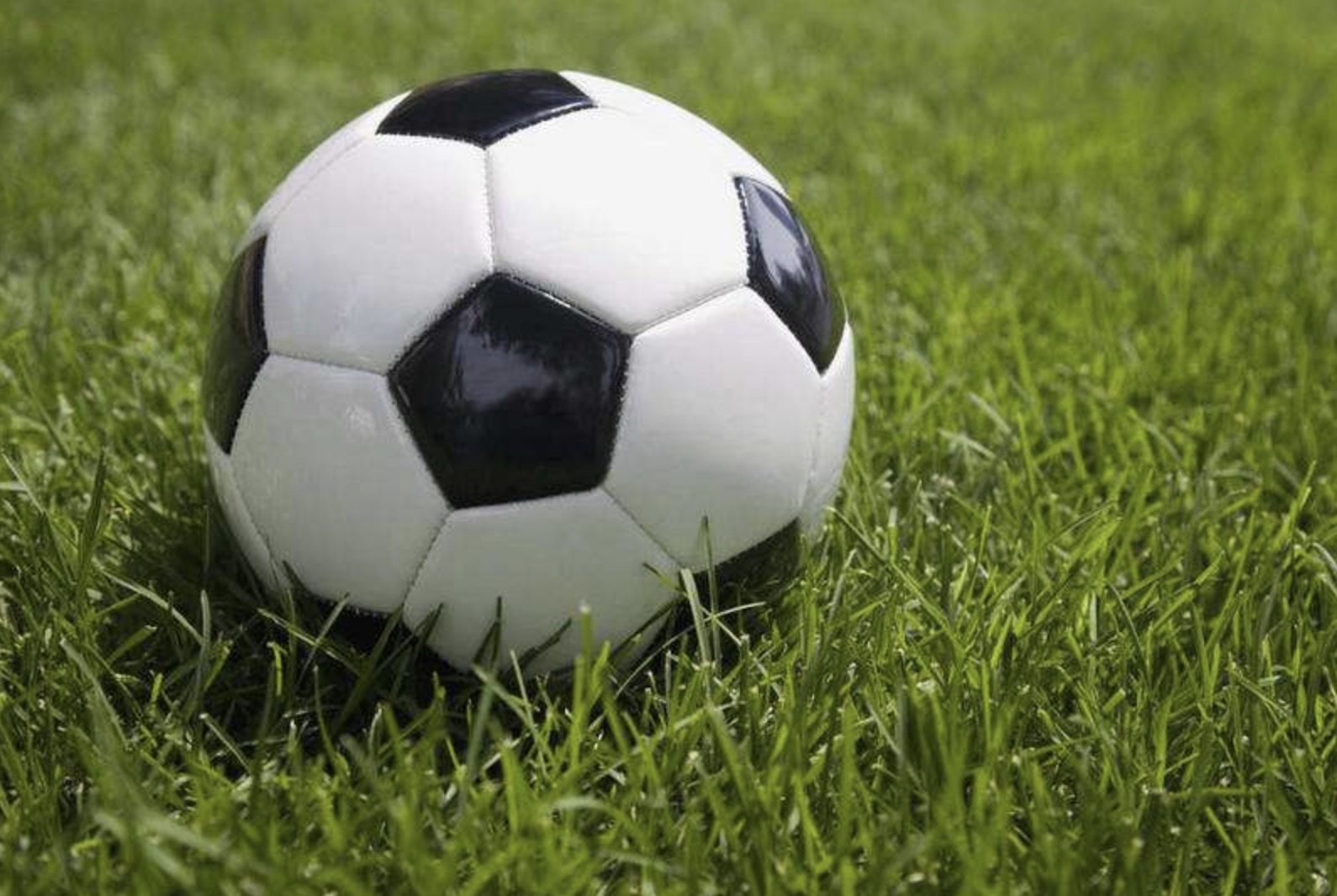 成立儿童足球青训俱乐部,足球青训及幼儿足球启蒙