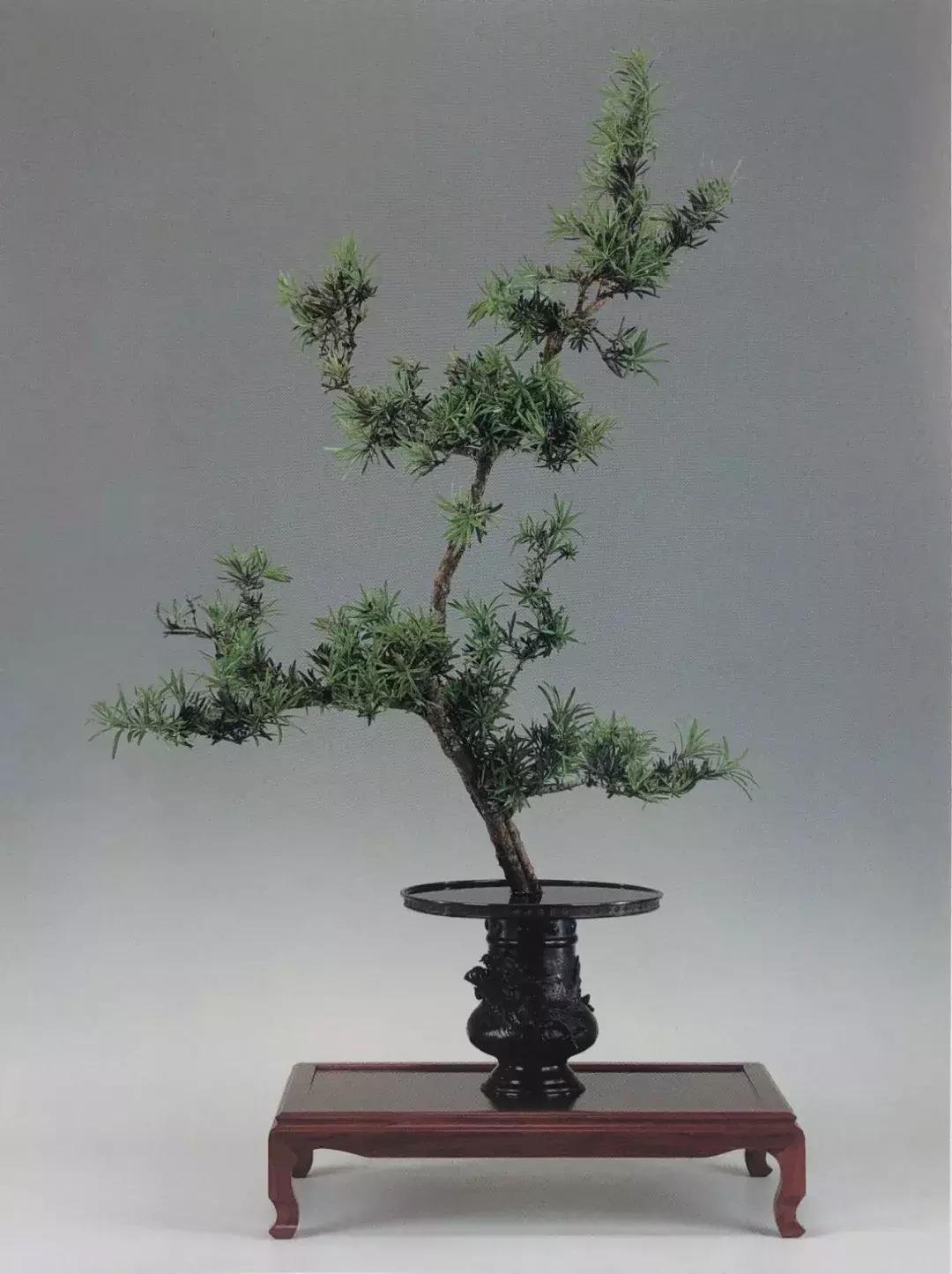 花道与插花技艺,花道活动布置