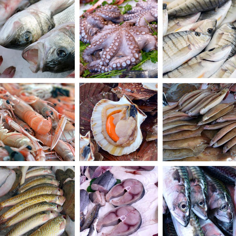 从备孕到生产一路走来太不容易了,备孕到怀孕到出生的所有事项