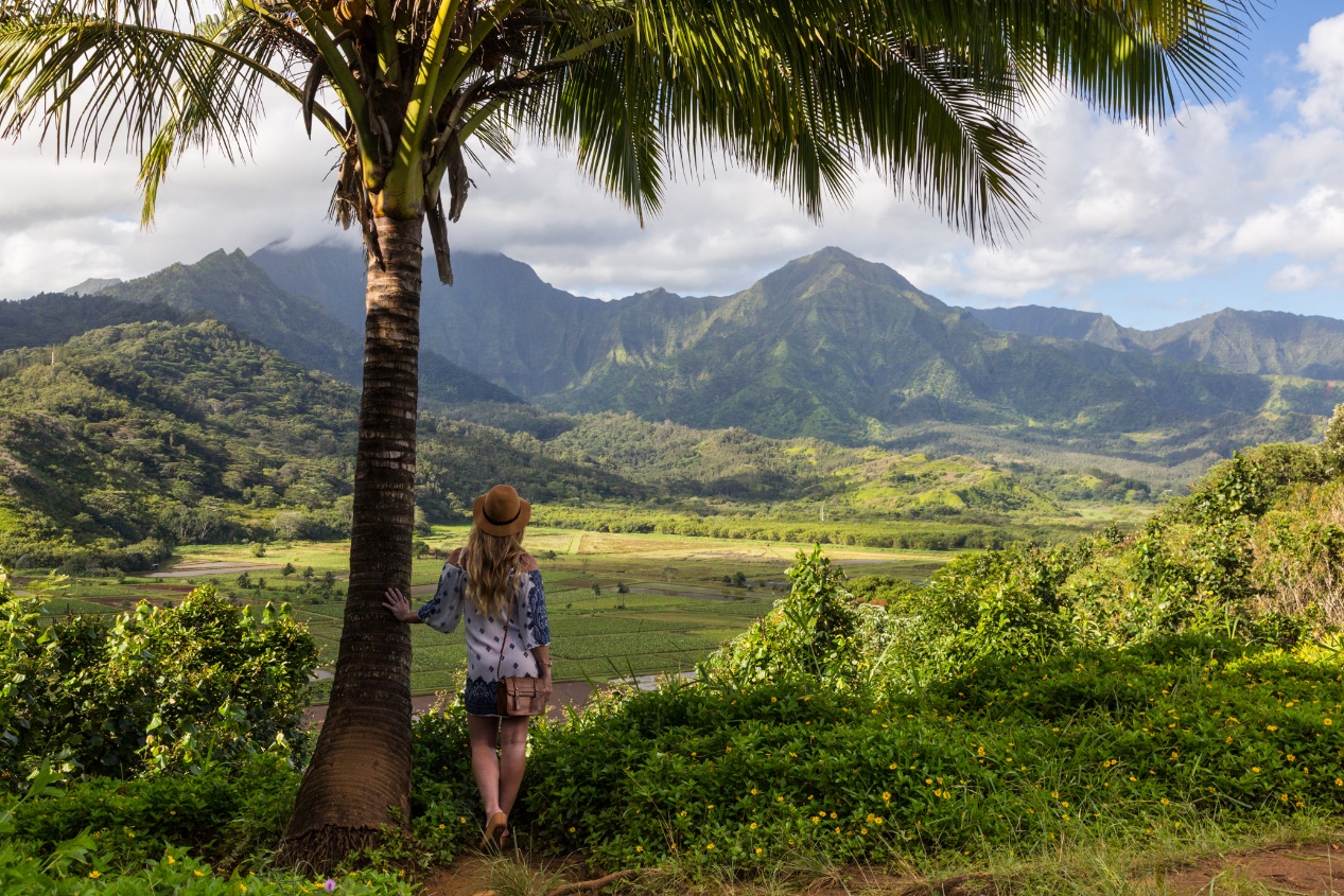 用夏威夷果壳的100种玩法,夏威夷新吃法