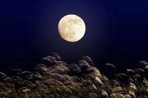 中秋节的由来和习俗英文,中秋节的由来和习俗简短30字