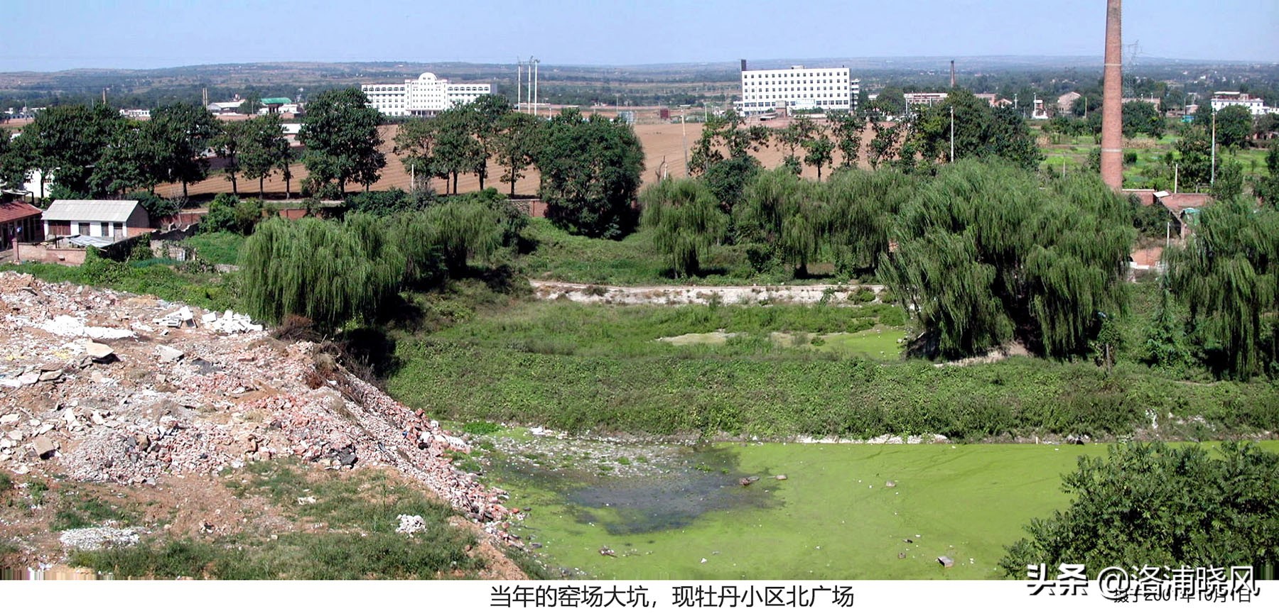 大院绿化的回忆——顺便看看院里的芍药定个究竟有多少种？