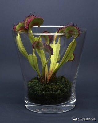 纸能干嘛？在她手上纸能变成活的