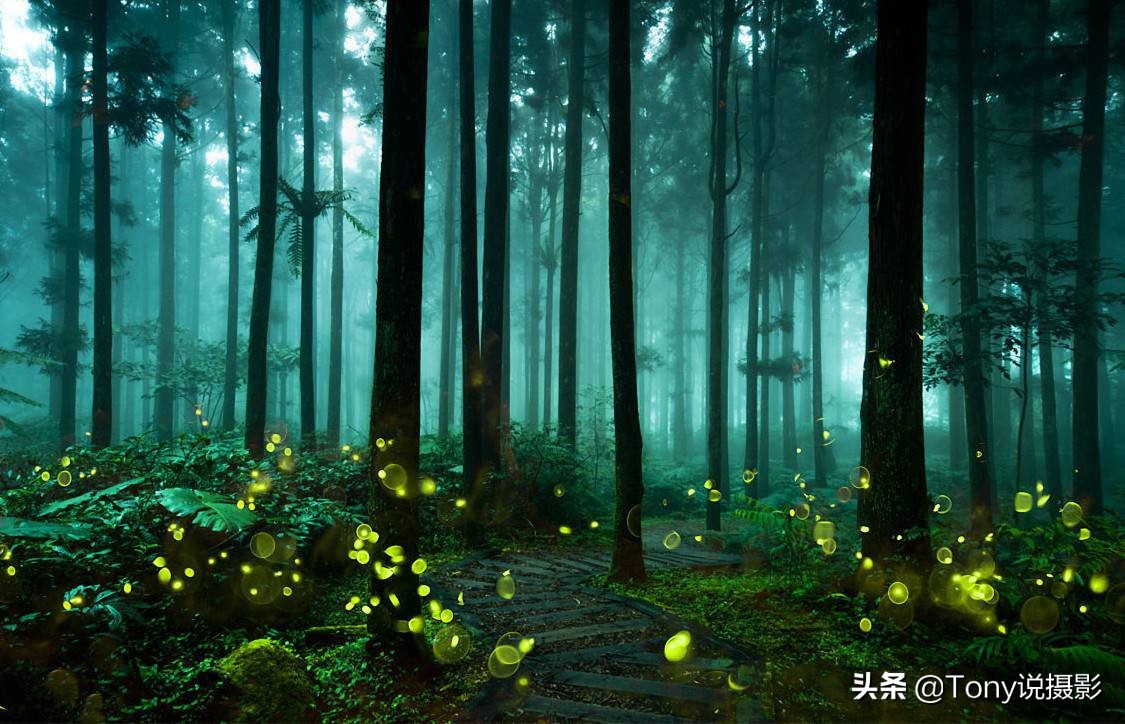 相机摄影最佳设置方法是什么,相机拍摄问题及解决方法