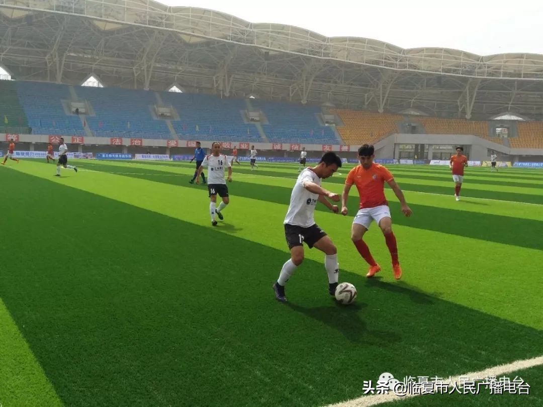 2021河州牡丹文化月系列活动,2019河州牡丹文化节