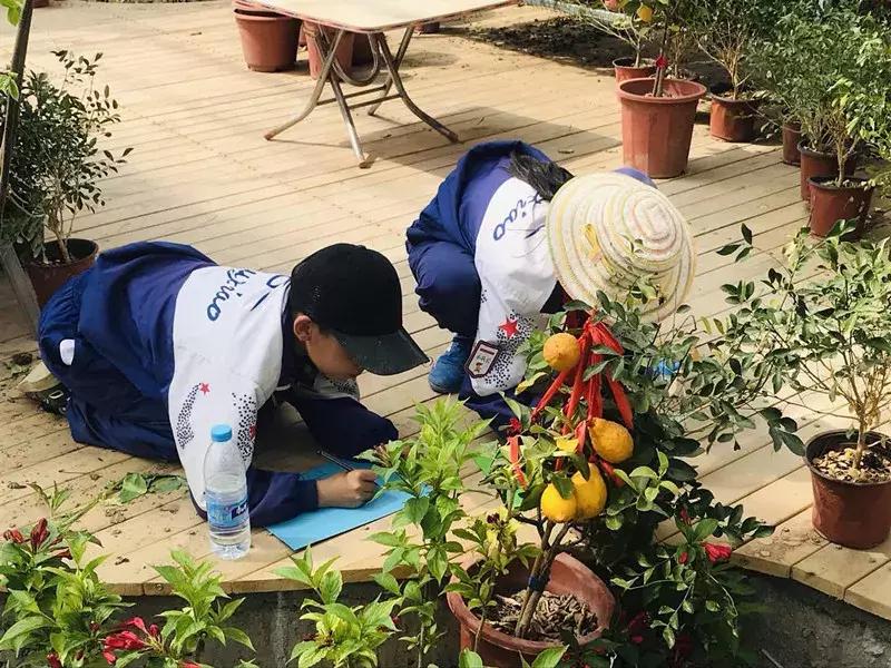 【益西户外营地教育】金川第六小学野狐湾自然研学营圆满结束！