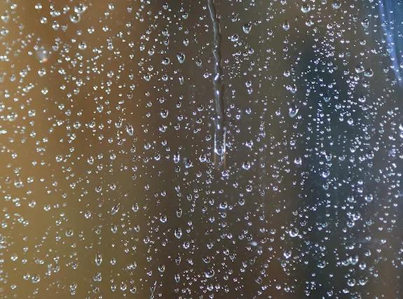 禾丰股份上半年净利增长乏力多家子公司因环境污染被罚