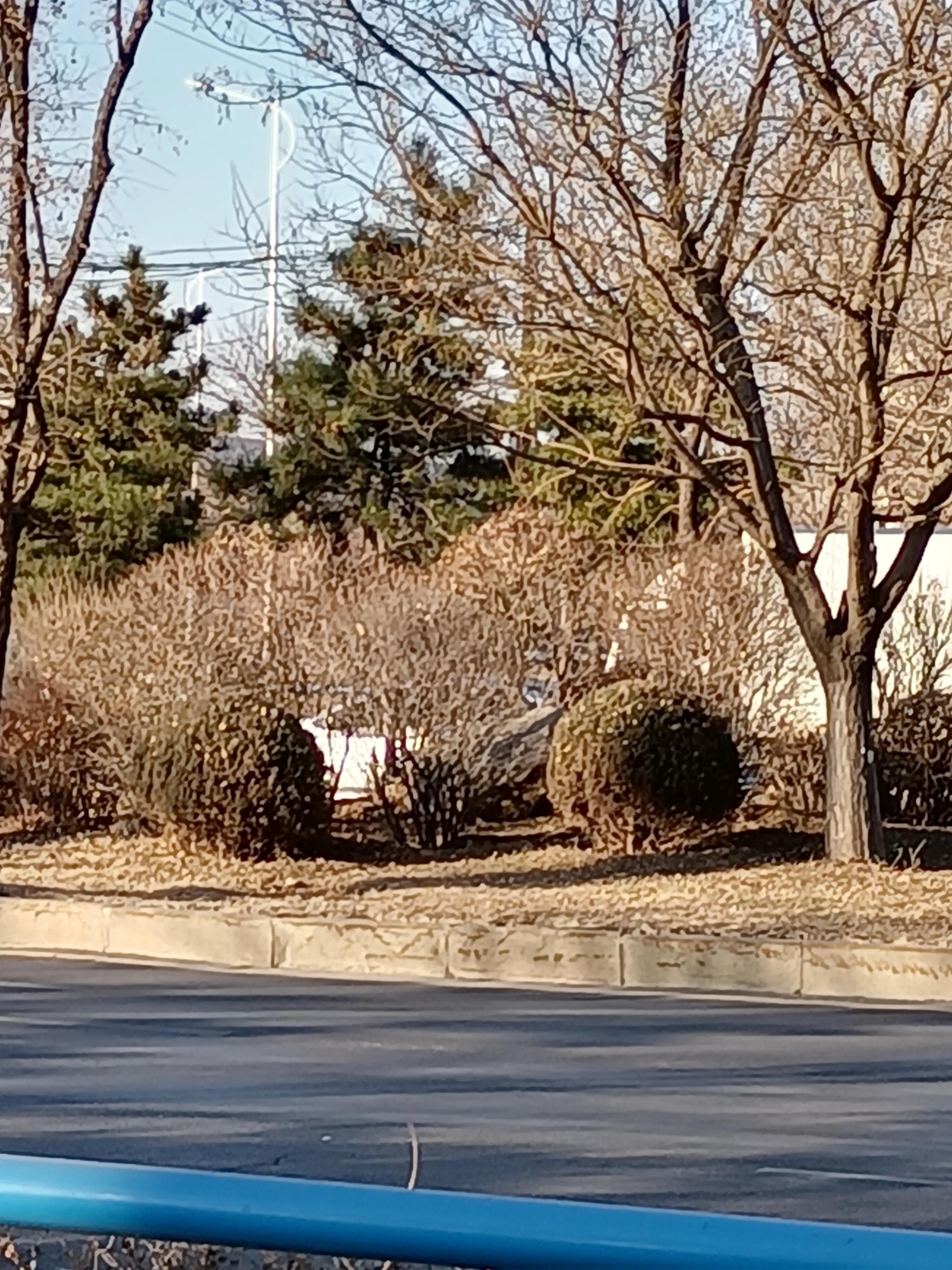 手捧感恩的心图文,手捧爱心感恩有你