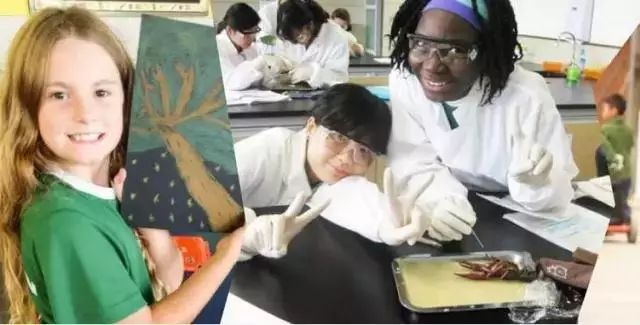 揭秘武汉最难进的学校,武汉市最难进的学校