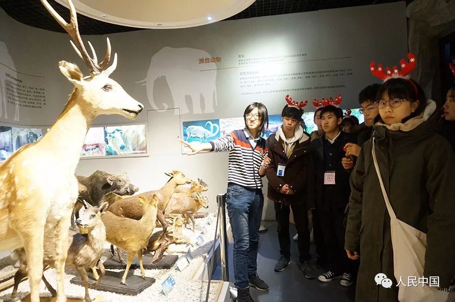 以武会友促交流,以武会友强身健身