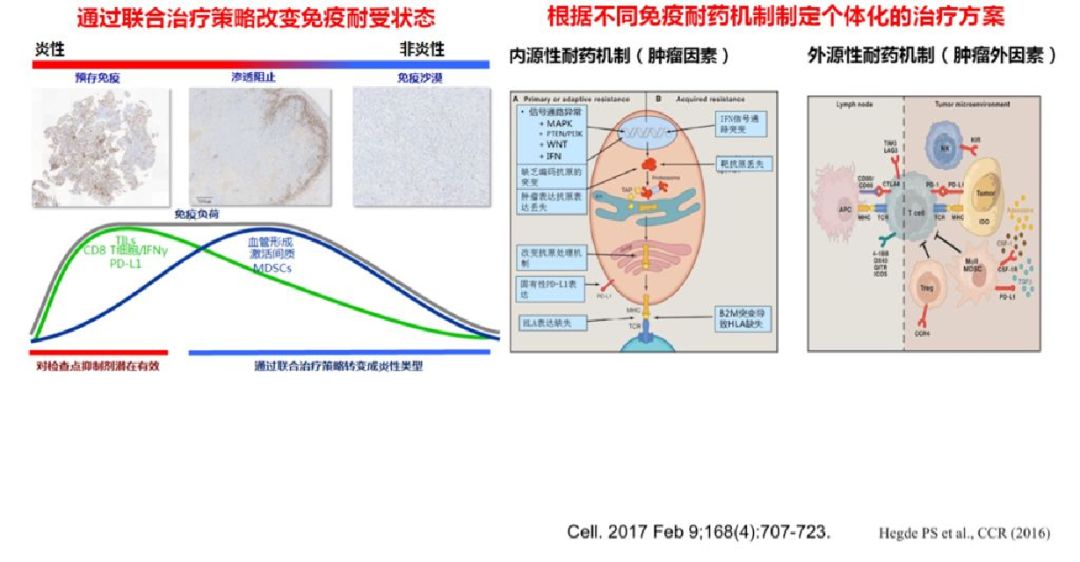 pd1耐药后又生效,PD-1耐药机制