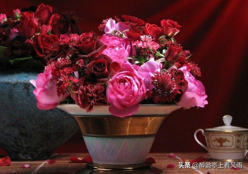 知己是一种心灵的陪伴,知己感动到哭的视频