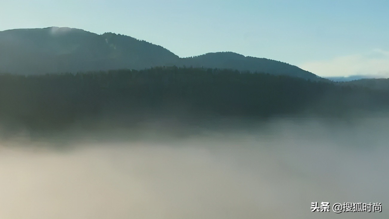 腕上必须带点绿？这潮流越来越热了