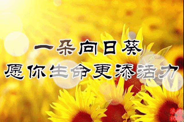 三八妇女节问候公文形式,三八妇女节问候男人