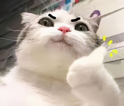 贴秋膘长胖,不贴秋膘减肥操