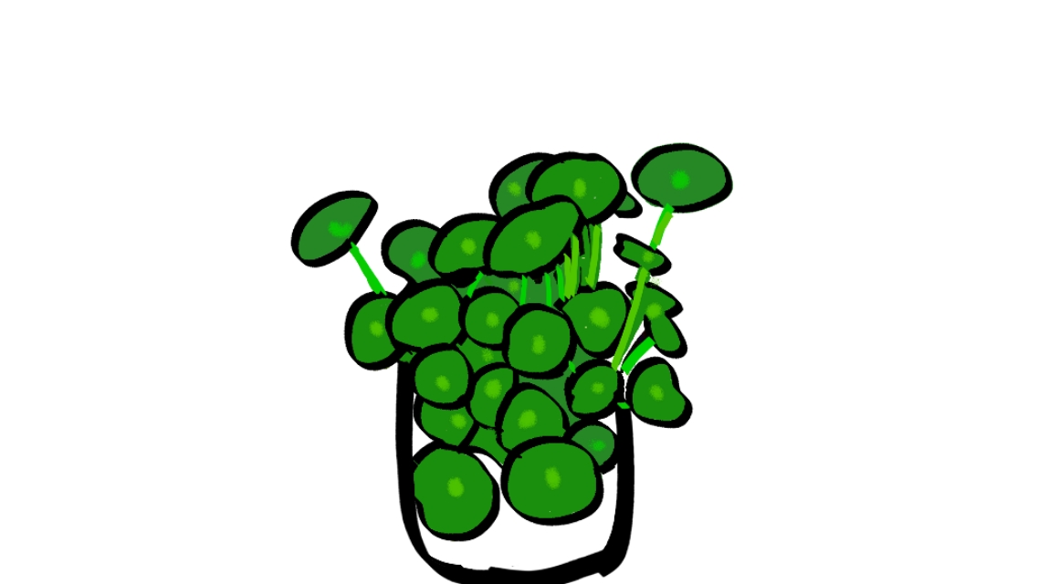 得了念珠菌阴道炎会有4种表现，预防复发，做好五件事，守住一关