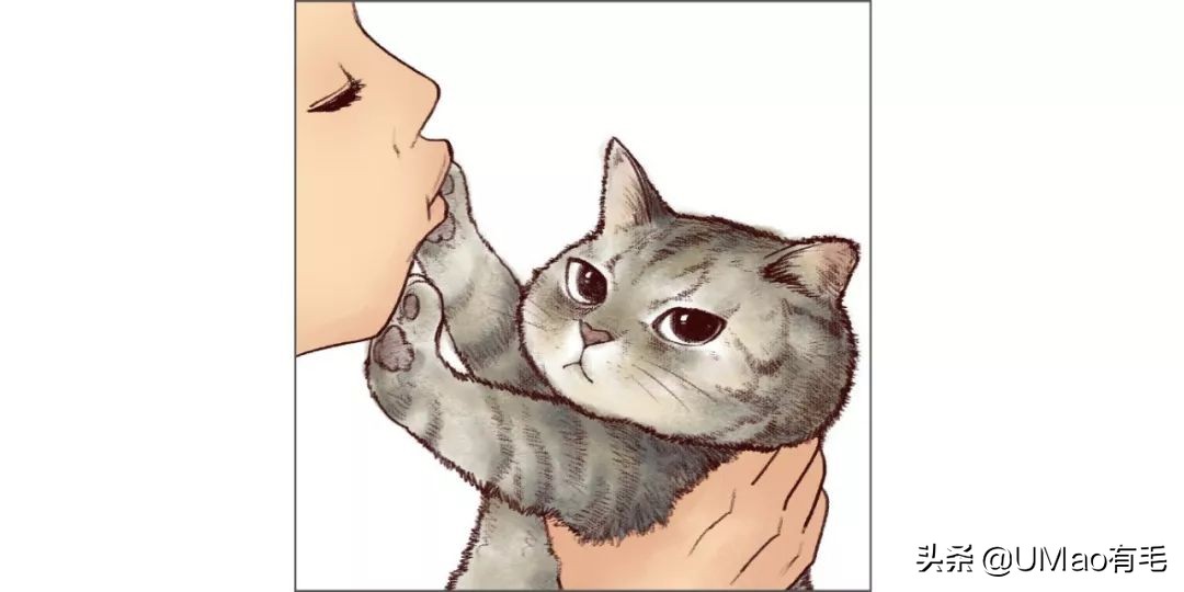 铲屎官别怕猫咪来保护你,猫咪对铲屎官的占有欲