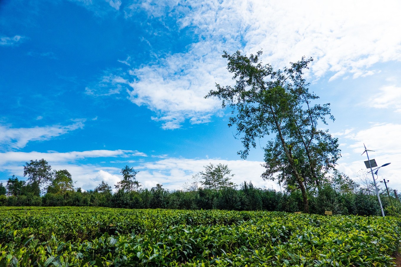 云南腾冲9月旅游攻略,云南腾冲旅游攻略秋天