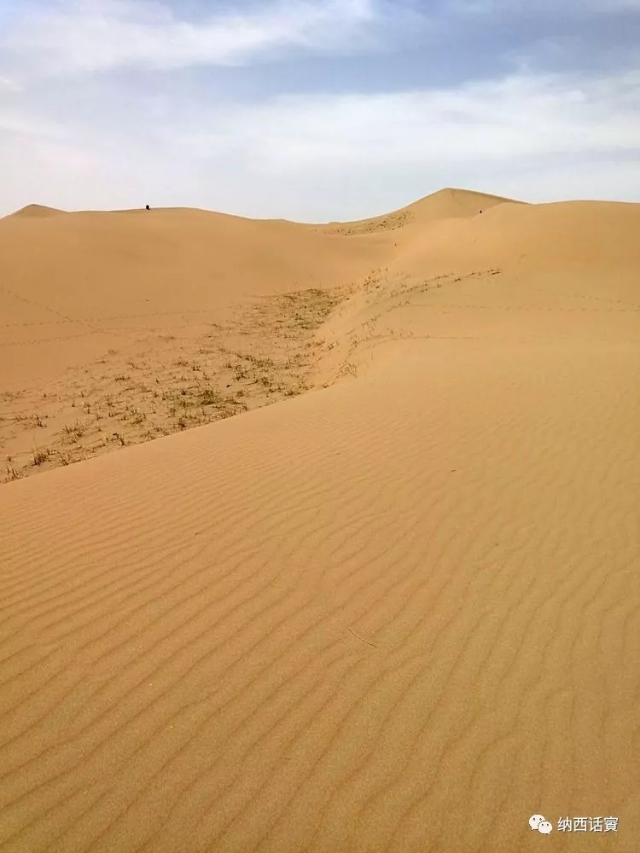 叶紫被雷劈穿越到异界,关于叶紫的穿越小说