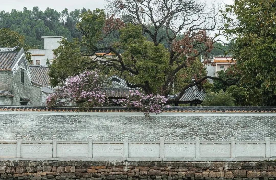 广州的年轻人，累了就去番禺歇歇吧