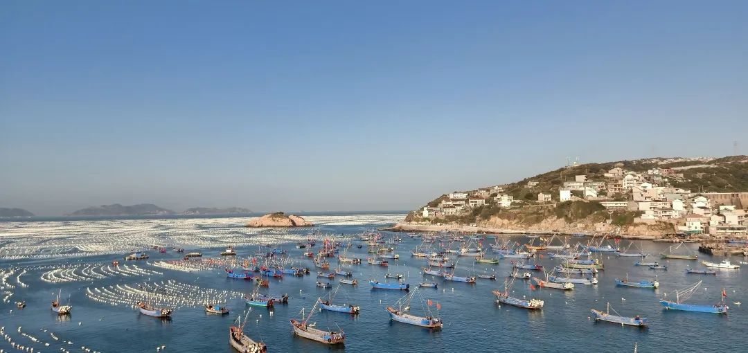 探访海参养殖基地,探访珍珠养殖基地