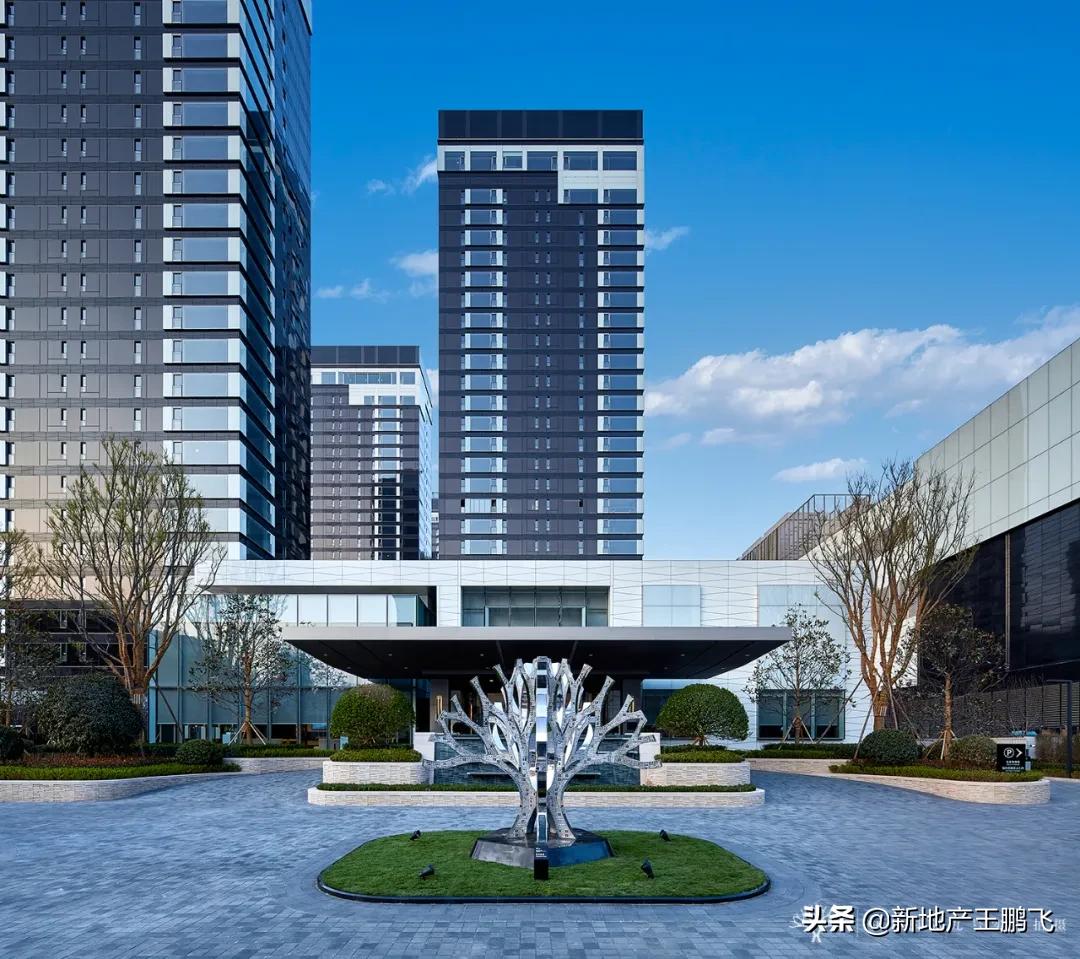 *瑰园玫**|曲江池畔的「叛逆少年」，匠心打磨的「凝固艺术」