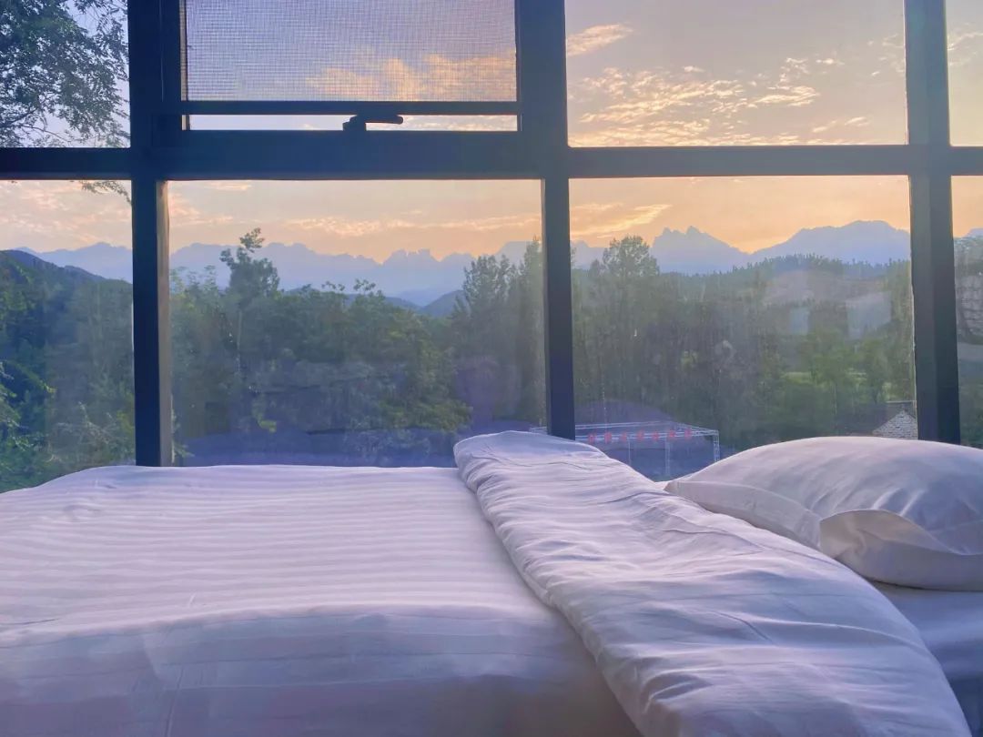 春树影舍畅享年卡，电影酒店+民宿，七夕送爱奇艺年卡会员等豪礼