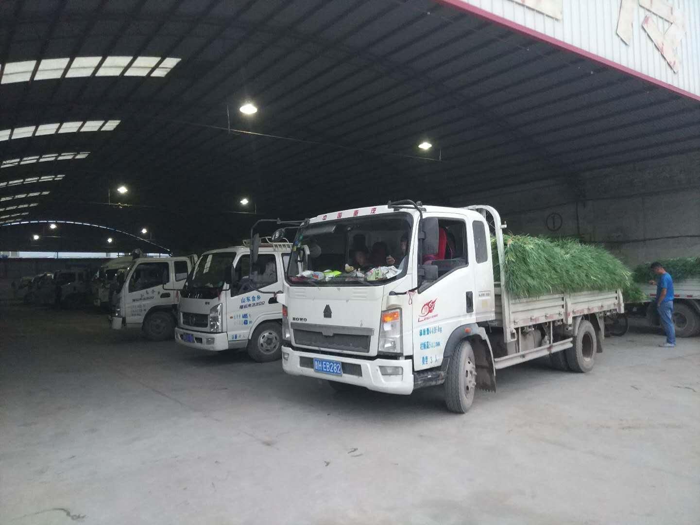 小伙没学历进公司,没学历小伙进公司