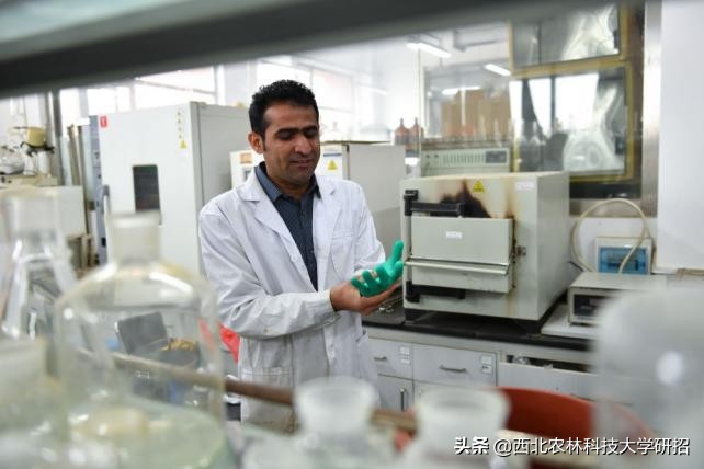 陕西“洋博士”：留学7年“学种地”，走红新华社、人民日报