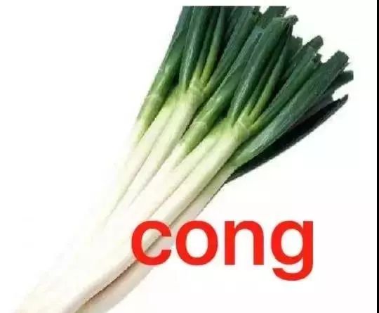 留学生常用语有哪些,留学生必备口语100句